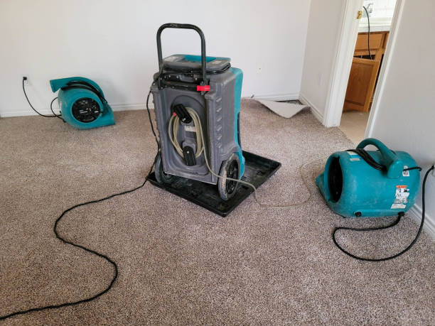 Best Professional water damage repair  in Poinciana, FL