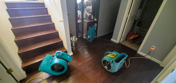 Best Mold removal after water damage  in Poinciana, FL