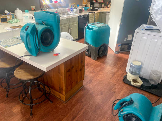 Best Commercial water damage restoration  in Poinciana, FL
