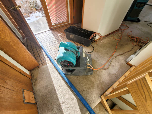 Best Water damage restoration near me  in Poinciana, FL