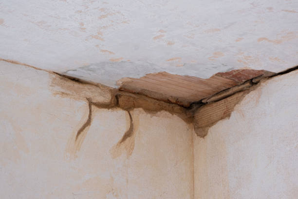 Best Water damage contractors near me  in Poinciana, FL