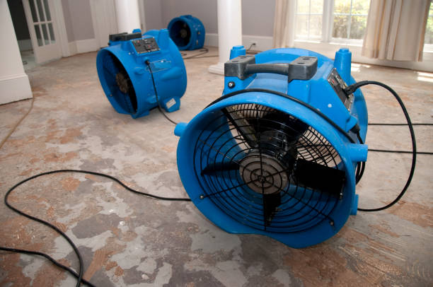 Best Sewage cleanup and water damage restoration  in Poinciana, FL