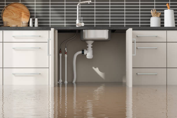 Best Water damage cleanup near me  in Poinciana, FL