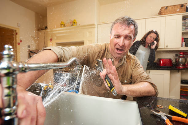 Best Flood damage cleanup  in Poinciana, FL